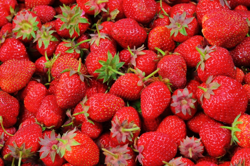 primeur-TAVERNES-min_strawberries-528791